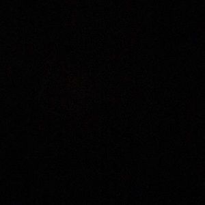 Meet your Posher, Amelia